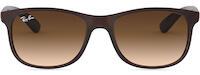 Ray-Ban Andy 4202 31