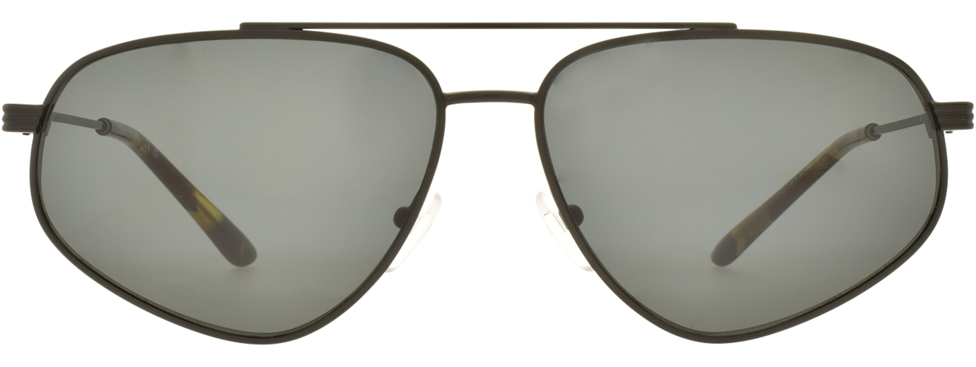 EMPORIO ARMANI SUN 0EA2156 21