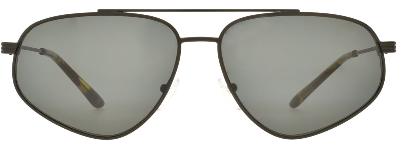 EMPORIO ARMANI SUN 0EA2156 21